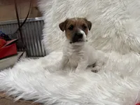 processed/2f51a86d-f991-408b-999f-2e75fbb89263/listing/2ab16013-3721-4cdc-98ad-552aefe7bfe2/53ba72ef-d643-4d92-9503-2969b14c979d