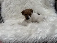 processed/2f51a86d-f991-408b-999f-2e75fbb89263/listing/2ab16013-3721-4cdc-98ad-552aefe7bfe2/98dbb362-8314-4869-b03b-1f94d5b558c1