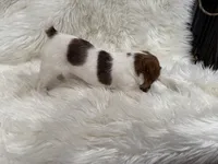 processed/2f51a86d-f991-408b-999f-2e75fbb89263/listing/2ab16013-3721-4cdc-98ad-552aefe7bfe2/cf7eee29-709a-4c6f-be73-a5d66106dbe2