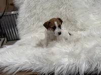 processed/2f51a86d-f991-408b-999f-2e75fbb89263/listing/33c8d6c2-48af-4b92-b41c-b1e15a892e50/93133049-3e74-4262-85bc-43806ed8dd38