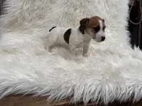 processed/2f51a86d-f991-408b-999f-2e75fbb89263/listing/33c8d6c2-48af-4b92-b41c-b1e15a892e50/a141445a-72de-47b4-b90c-4a19f6cac45b