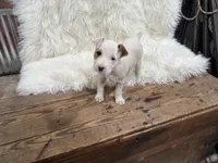 processed/2f51a86d-f991-408b-999f-2e75fbb89263/listing/508cc010-d3e9-4a77-bae2-e8ab5effb4e3/2dd7f01a-357f-43d8-ab33-92be45198d8a