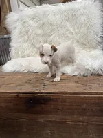 processed/2f51a86d-f991-408b-999f-2e75fbb89263/listing/508cc010-d3e9-4a77-bae2-e8ab5effb4e3/4f86d749-d5af-4230-8aa5-724e3eec54d1