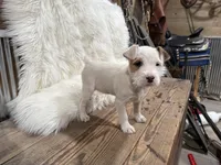 processed/2f51a86d-f991-408b-999f-2e75fbb89263/listing/508cc010-d3e9-4a77-bae2-e8ab5effb4e3/6d855063-841c-4884-8568-a44021363184