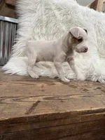 processed/2f51a86d-f991-408b-999f-2e75fbb89263/listing/508cc010-d3e9-4a77-bae2-e8ab5effb4e3/f7fceb4a-59fa-49a6-a8a6-4c6f8124b1dc