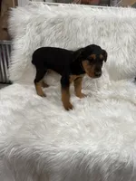 processed/2f51a86d-f991-408b-999f-2e75fbb89263/listing/a4a201af-0f0d-4daa-a74a-98eca0446326/3f4998ca-a03e-462f-a450-54f07b35374f