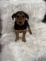 processed/2f51a86d-f991-408b-999f-2e75fbb89263/listing/a4a201af-0f0d-4daa-a74a-98eca0446326/f467c2ad-5b28-49d0-8fd2-09cee8b50ef9