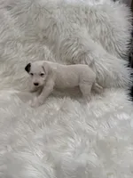 processed/2f51a86d-f991-408b-999f-2e75fbb89263/listing/d927c2f5-fad1-4b96-a695-6e9e55c39266/4e1db1de-632f-49d3-a9d3-3c9632c0aca8