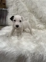 processed/2f51a86d-f991-408b-999f-2e75fbb89263/listing/d927c2f5-fad1-4b96-a695-6e9e55c39266/5c2a92c9-72cf-453e-a2a3-76826d78fdb5