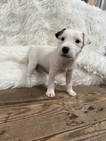 processed/2f51a86d-f991-408b-999f-2e75fbb89263/listing/d927c2f5-fad1-4b96-a695-6e9e55c39266/9007979b-7f52-4d4b-90a8-db7ca6937a01