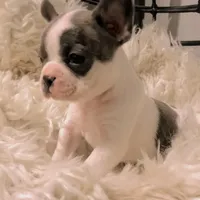 processed/2f51ba80-12cc-4758-87e8-b8f375024b20/facility/2cf77d68-3754-4e04-ac5c-f2363b00d495