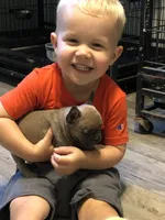 processed/2f51ba80-12cc-4758-87e8-b8f375024b20/facility/2e56f4ee-7c1c-4dcc-8b54-54d8949805cc