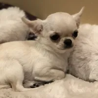 processed/2f51ba80-12cc-4758-87e8-b8f375024b20/facility/448fd084-70e8-40e3-ab26-8c5d824e8df0