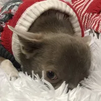 processed/2f51ba80-12cc-4758-87e8-b8f375024b20/facility/4a7cfa02-35c0-4b05-bb43-2248eeaafc5f