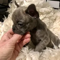 processed/2f51ba80-12cc-4758-87e8-b8f375024b20/facility/4f1cec49-9d61-4871-957c-3f3a831e645e