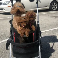 processed/2f51ba80-12cc-4758-87e8-b8f375024b20/facility/62e33efc-1828-4c09-8679-cf199e8b5a31