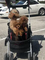 processed/2f51ba80-12cc-4758-87e8-b8f375024b20/facility/62e33efc-1828-4c09-8679-cf199e8b5a31