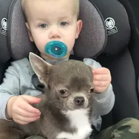 processed/2f51ba80-12cc-4758-87e8-b8f375024b20/facility/e09e0890-93b8-4f09-a53f-ebd0cda1f74c