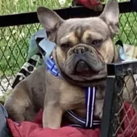 processed/2f51ba80-12cc-4758-87e8-b8f375024b20/facility/e6d19ec8-d9fe-40b5-8160-326946fcd834