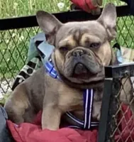 processed/2f51ba80-12cc-4758-87e8-b8f375024b20/facility/e6d19ec8-d9fe-40b5-8160-326946fcd834