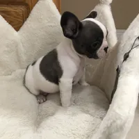 processed/2f51ba80-12cc-4758-87e8-b8f375024b20/facility/fa6a0e69-d1ef-4302-8417-127c3913f65d