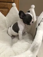 processed/2f51ba80-12cc-4758-87e8-b8f375024b20/facility/fa6a0e69-d1ef-4302-8417-127c3913f65d