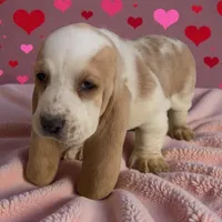 processed/2f51ba80-12cc-4758-87e8-b8f375024b20/listing/1a7f3f30-f658-46b1-88c3-31e5d5ee638e/e56fbb24-393b-4545-9b16-3df7fdbfdc1f