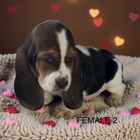 processed/2f51ba80-12cc-4758-87e8-b8f375024b20/listing/fff748a5-82a0-4208-a245-31fad5479010/064a56eb-033b-42e2-9d55-d9ea67edb07d