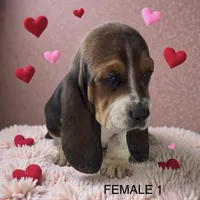 processed/2f51ba80-12cc-4758-87e8-b8f375024b20/listing/fff748a5-82a0-4208-a245-31fad5479010/23292bcb-0544-4c5d-9628-89ea6c898651