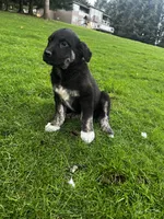 processed/2f5c1e78-e3cb-4ddc-8681-d566f6eabcd0/listing/50769656-2ed2-4527-bdf5-c3b89dccf34e/9b299a30-6bc9-47e8-b0e3-0a5bab0e2cf9