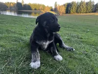 processed/2f5c1e78-e3cb-4ddc-8681-d566f6eabcd0/listing/50769656-2ed2-4527-bdf5-c3b89dccf34e/b74edefa-0984-411d-a868-9c21dff10a1c