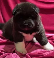 processed/2f5c9737-0363-45fc-8b6d-1f4adaadf9d4/listing/e5cb499e-545f-4882-ad12-bd941b7a3875/439bc2ea-c33b-4823-acd2-b6cc5a81e14e