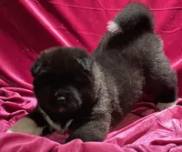 processed/2f5c9737-0363-45fc-8b6d-1f4adaadf9d4/listing/e5cb499e-545f-4882-ad12-bd941b7a3875/ad9cf6c7-c9d1-4024-b5ef-f9deb03226b2