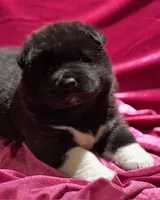 processed/2f5c9737-0363-45fc-8b6d-1f4adaadf9d4/listing/e5cb499e-545f-4882-ad12-bd941b7a3875/ddb056cf-8a49-4741-9d6e-95240d71c10f