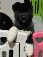 processed/2f5c9737-0363-45fc-8b6d-1f4adaadf9d4/listing/e5cb499e-545f-4882-ad12-bd941b7a3875/e54f608f-dc68-4103-94ad-2acc55a69485