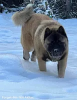 processed/2f5c9737-0363-45fc-8b6d-1f4adaadf9d4/listing/e5cb499e-545f-4882-ad12-bd941b7a3875/e86d4c5d-d0da-4ade-b014-87625e59532b