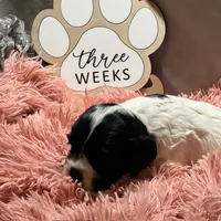 processed/2f5c9737-0363-45fc-8b6d-1f4adaadf9d4/listing/f302cf68-c7c5-4a2c-8e49-5ea49a3230e7/89902bd3-e703-49ab-9738-5096faaf2302