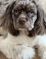 processed/2f5c9737-0363-45fc-8b6d-1f4adaadf9d4/listing/f302cf68-c7c5-4a2c-8e49-5ea49a3230e7/f78658cc-0388-4d3c-be13-c23e46433b9b