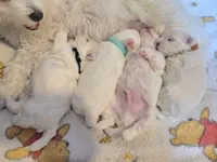 processed/2f60b729-2830-4203-9f06-a5acaaab5f4a/facility/72a385c5-c2eb-4301-9e5d-b5729ff2f608