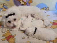 processed/2f60b729-2830-4203-9f06-a5acaaab5f4a/facility/802ec6dd-f726-4f2b-a847-cd5d79ea6241