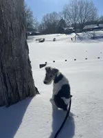 processed/2f6162f8-eaf8-4019-9906-7bd07d76ffe0/listing/e36f444b-9016-429d-bc7e-6336aa1cc641/2edee842-2562-4035-9af8-de2db9a3ed87