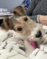 processed/2f6162f8-eaf8-4019-9906-7bd07d76ffe0/listing/e36f444b-9016-429d-bc7e-6336aa1cc641/4f13e924-a7b5-4c51-b1ed-7ba142f6d143