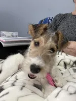 processed/2f6162f8-eaf8-4019-9906-7bd07d76ffe0/listing/e36f444b-9016-429d-bc7e-6336aa1cc641/682cab21-d1ec-48f4-bcc9-94bcdc1231fd