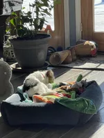 processed/2f6162f8-eaf8-4019-9906-7bd07d76ffe0/listing/e36f444b-9016-429d-bc7e-6336aa1cc641/8d034efe-0f7e-4926-a74c-15f855197b88