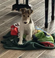 processed/2f6162f8-eaf8-4019-9906-7bd07d76ffe0/listing/e36f444b-9016-429d-bc7e-6336aa1cc641/c4a3d745-6ea6-4e3c-abda-74660d5da7ef