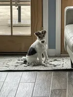 processed/2f6162f8-eaf8-4019-9906-7bd07d76ffe0/listing/e36f444b-9016-429d-bc7e-6336aa1cc641/e2734b3a-a221-4cee-b4f1-044d34b1dc2c