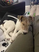 processed/2f6162f8-eaf8-4019-9906-7bd07d76ffe0/listing/e36f444b-9016-429d-bc7e-6336aa1cc641/e7b83e1e-826b-4517-a07d-287666a98686