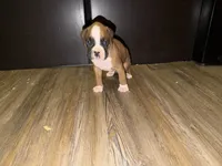 processed/2f6a6a08-a859-4370-9f69-116ccc970e8d/listing/6992b299-3da4-4734-89a9-c3725444cad9/8e382c27-e713-409c-a770-216085c6f8a0