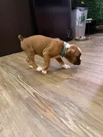 processed/2f6a6a08-a859-4370-9f69-116ccc970e8d/listing/6992b299-3da4-4734-89a9-c3725444cad9/b72c2737-e598-4cc6-812b-ddd4edec7292