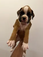 processed/2f6a6a08-a859-4370-9f69-116ccc970e8d/listing/6992b299-3da4-4734-89a9-c3725444cad9/d7ea41f3-2369-4f7d-8a5c-9449f169e0b5